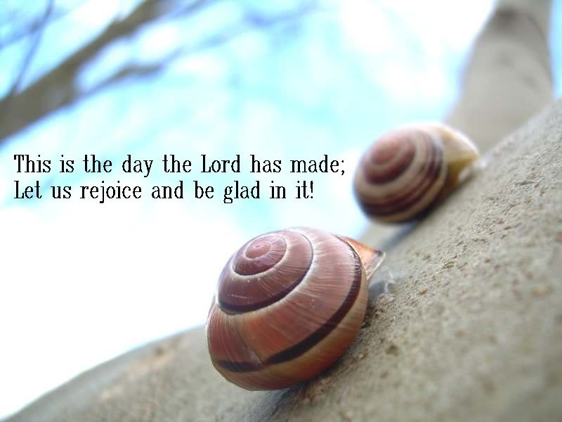 snails2-1.jpg