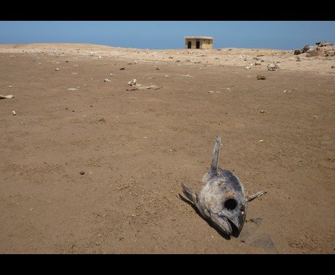 somalia desert 2 483x396 1 - Beautiful Places Around The World.