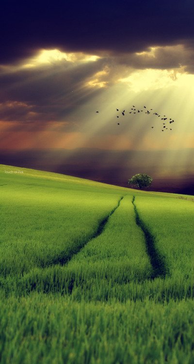 tumblr_lem4ac7kde1qf9qngo1_500-1.jpg