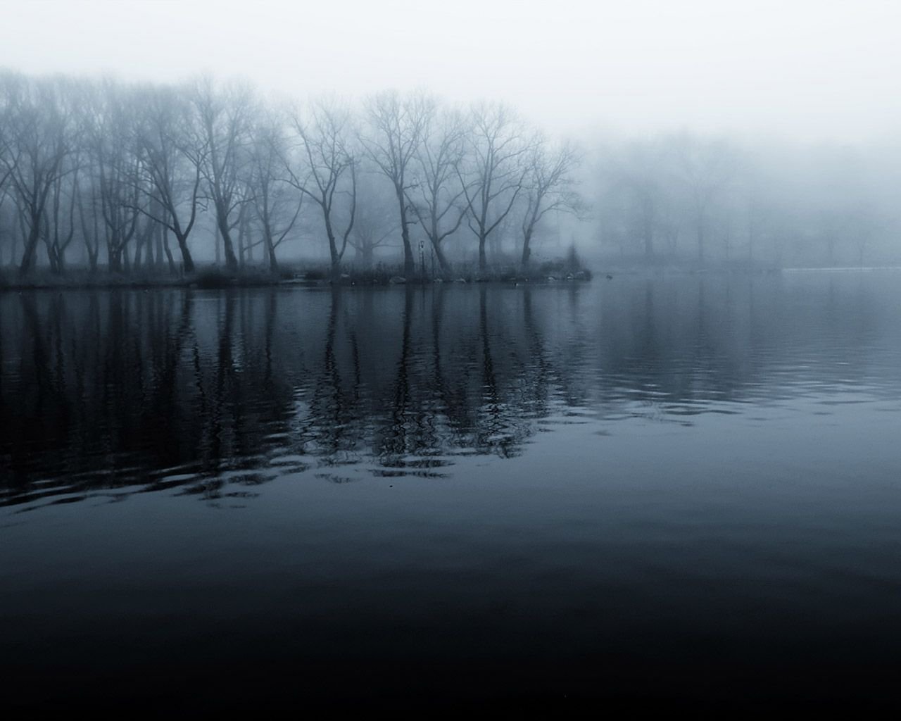 01076_foggymorning2-2.jpg
