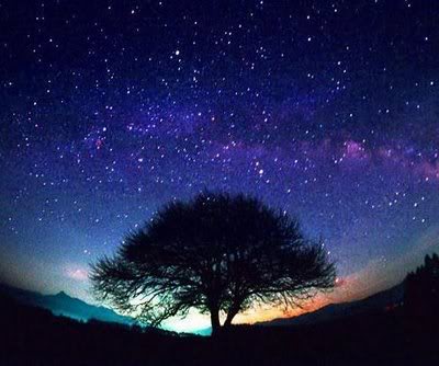 abigStarlit_Sky2-2.jpg