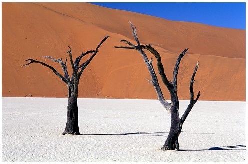 namibdesertv982-2.jpg