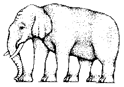 0106-1.gif