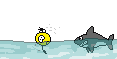 323jisetlh46-1.gif