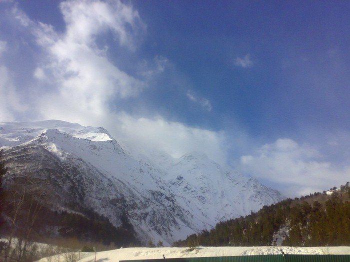 53597342_007-1.jpg