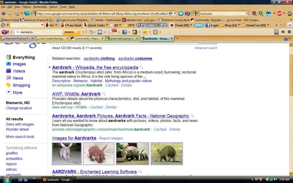 Aardvarks 1 - Let's make the biggest number of users online !