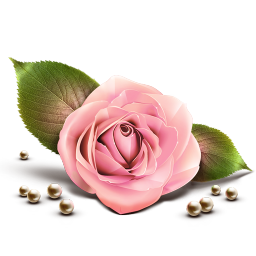 Rosef-1.png