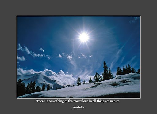 SierraStarAristotle5B15D-1.jpg