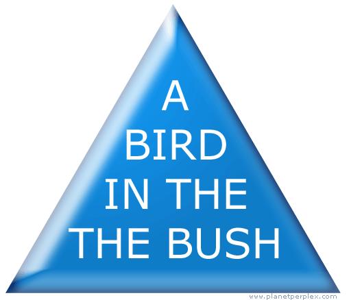 birdinbushJPG-1.jpg