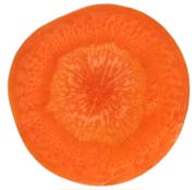 carrot-1.jpg