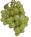 grape-1.jpg