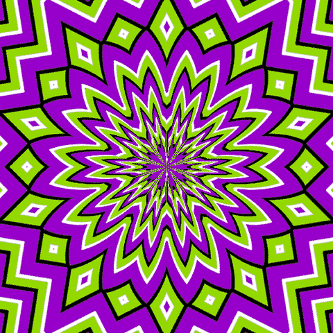 purplenurple 1 - This is no trick.  This is no animation.  It's just a static picture!
