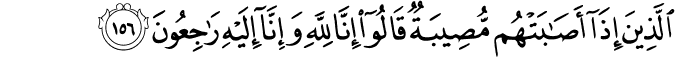 2_156-1.png