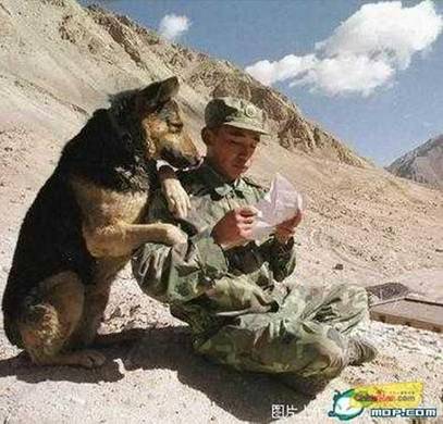 mandogletter-1.jpg