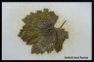 GrapeLeave1-1.jpg