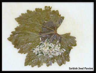 GrapeLeave2-1.jpg