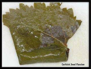 GrapeLeave3-1.jpg
