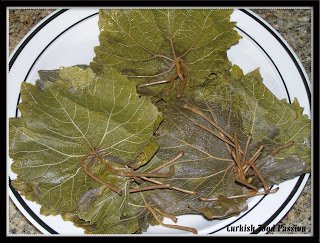 GrapeLeaves-1.jpg