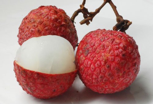 20080630lychee500-1.jpg