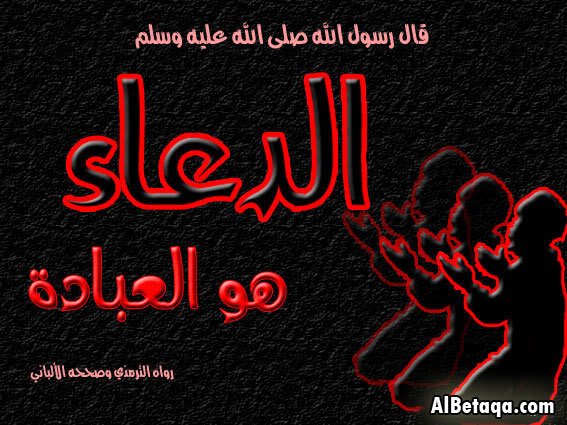 aebadatdo3aaa00011-1.jpg
