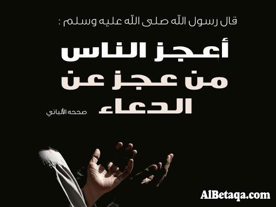 aebadatdo3aaa0004-1.jpg