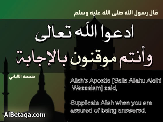 aebadatdo3aaa00101-1.jpg
