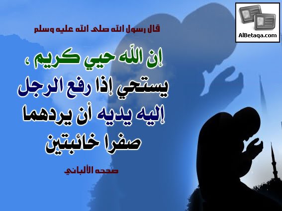 aebadatdo3aaa0033-1.jpg