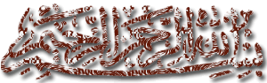 2554199d5babm5ds5-1.gif