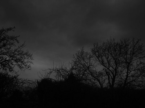 3196535692_f3df18668a-1.jpg