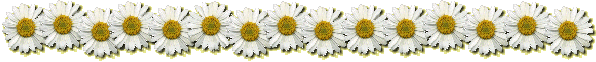 5dw5lcom_20-1.gif
