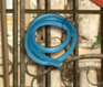 Hiddenhose-1.png