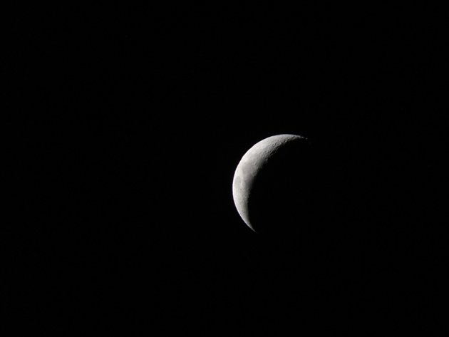 LonelyMoonPeterPihlmannPedersen_103257-1.jpg