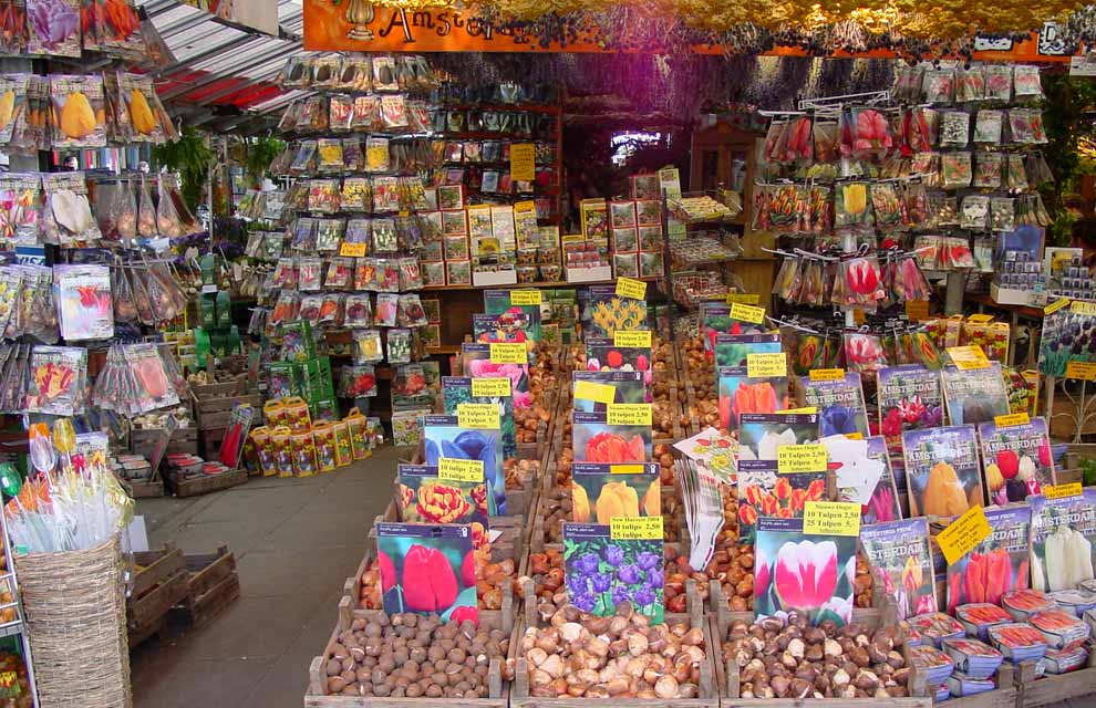 a Bloemenmarkt 2a 1 - The tulip fields of Holland.