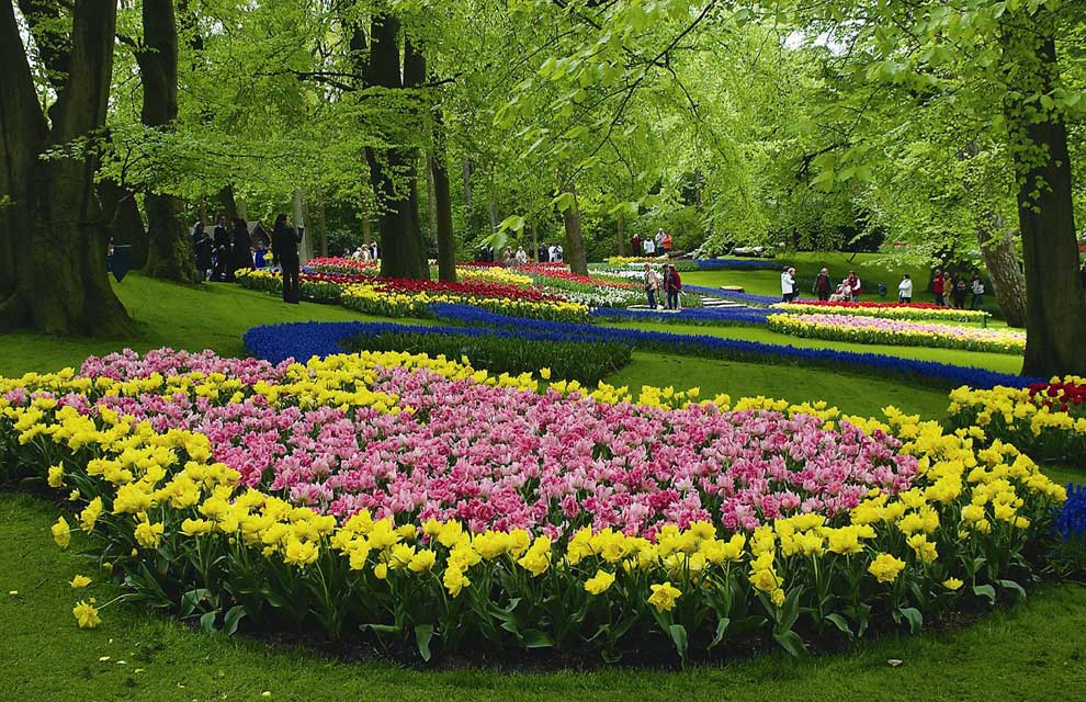 a Keukenhof 015a 1 - The tulip fields of Holland.