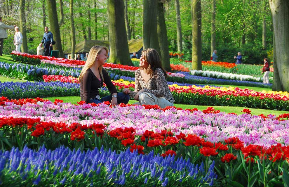 a eline en puck 09a 1 - The tulip fields of Holland.