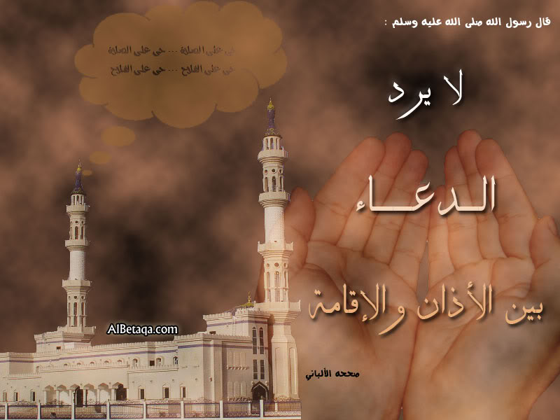 aebadatdo3aaa0013-1.jpg
