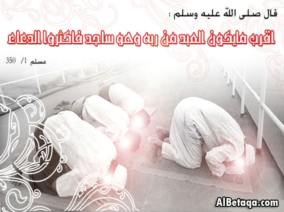 aebadatdo3aaa0019-1.jpg