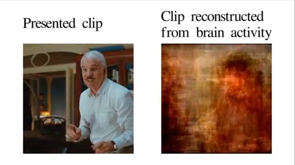 brainimagev25219586-1.jpg