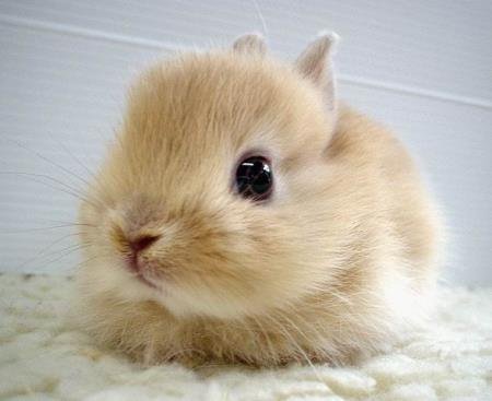 cutestthingevabrittanilouisetaylor131424-1.jpg