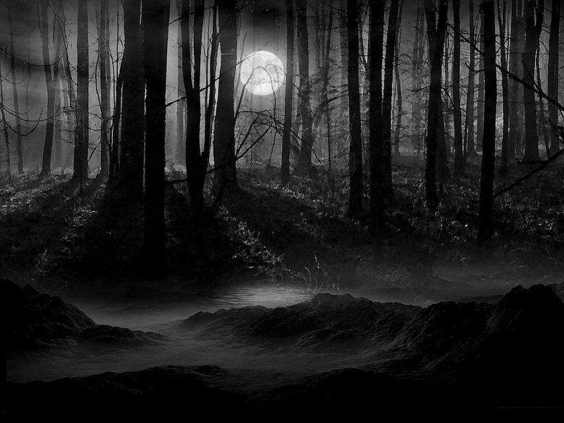 darkforest1 1 - The gloomy thread
