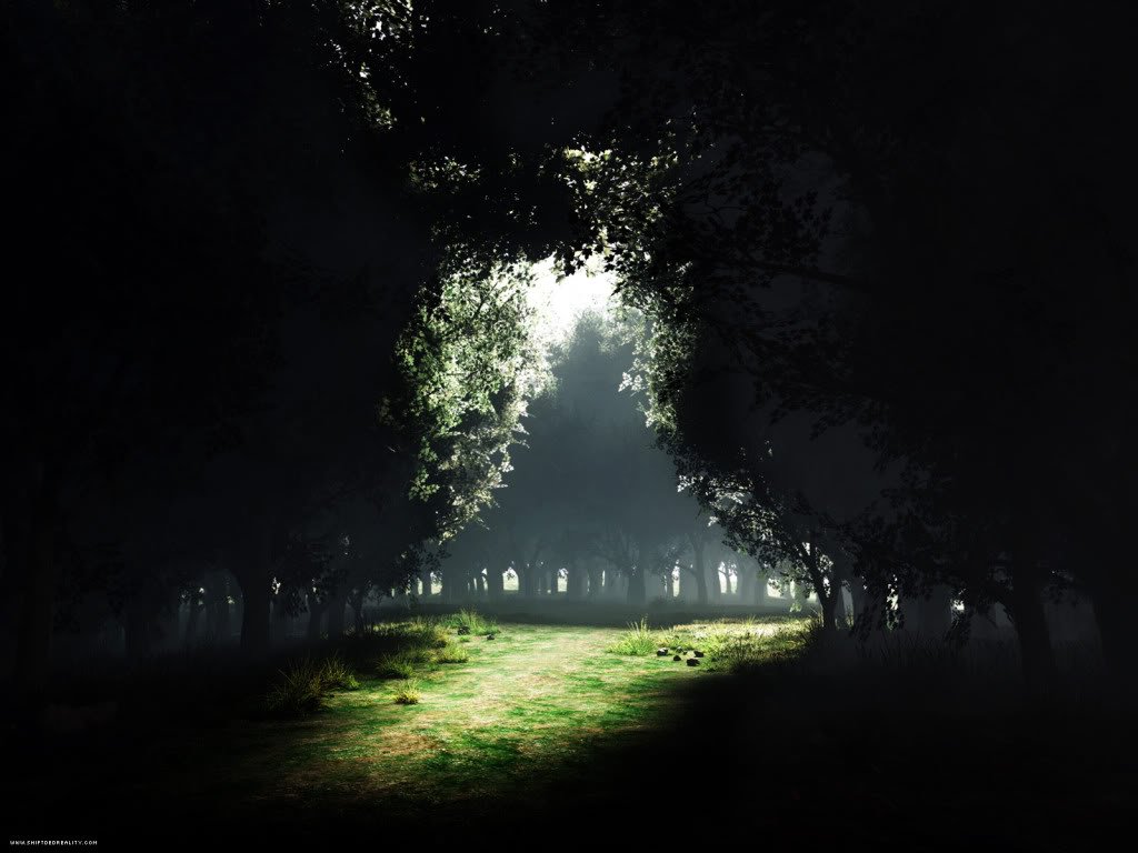 darkness_to_light_1600x1200-1.jpg