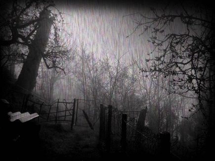 darkrainpic-1.gif