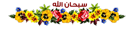 fawasel0001-1.gif