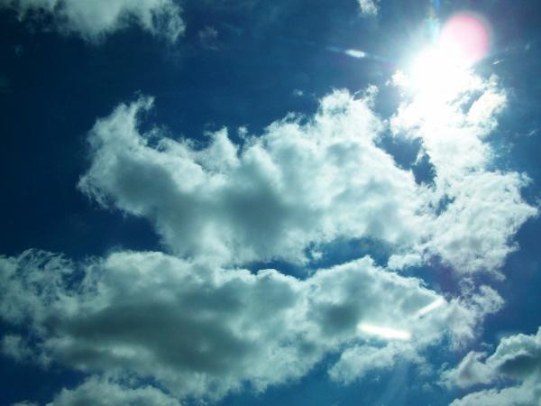 sunnydaykristenhurley-1.jpg