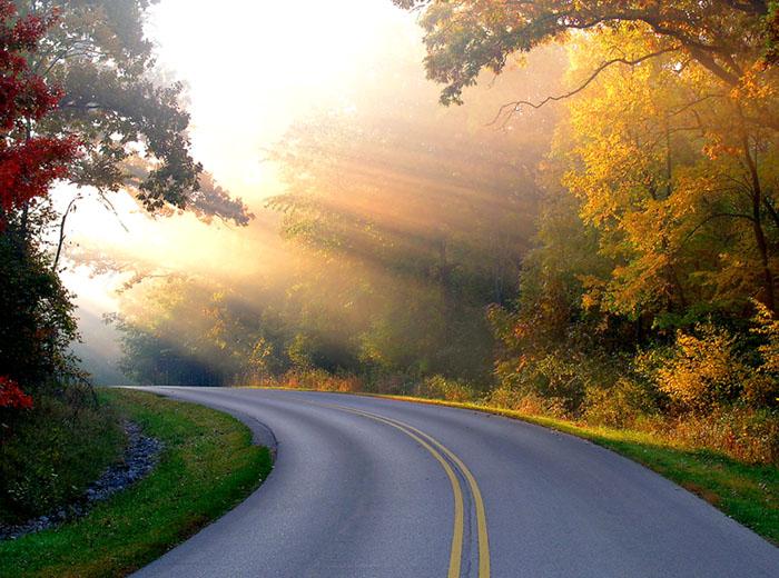 sunrays1-1.jpg
