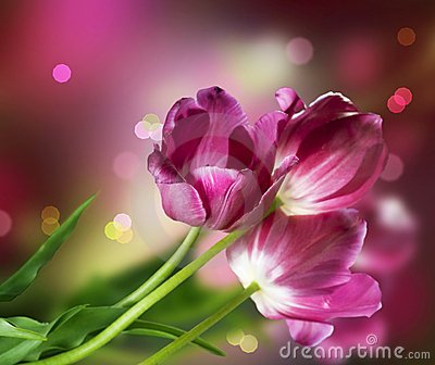 tulipsflowerdesignthumb19494554 1 - Exceptional Recitations