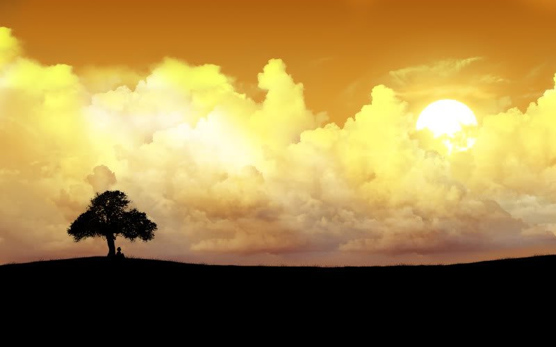 ws_Alone_tree_1920x1200-1.jpg