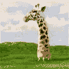 z19881532-1.gif