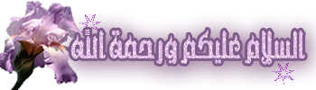 2554202xmst0grnxx-1.gif