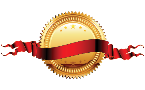 5levelsmedal-1.png